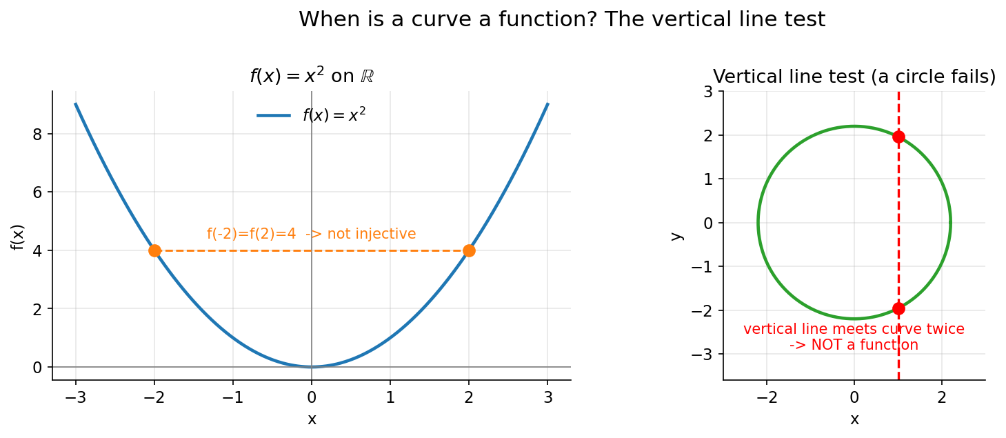 Plot: f(x)=x^2 injective নয়, এবং একটি বৃত্ত vertical line test-এ ব্যর্থ হয়ে function নয় তা দেখানো।