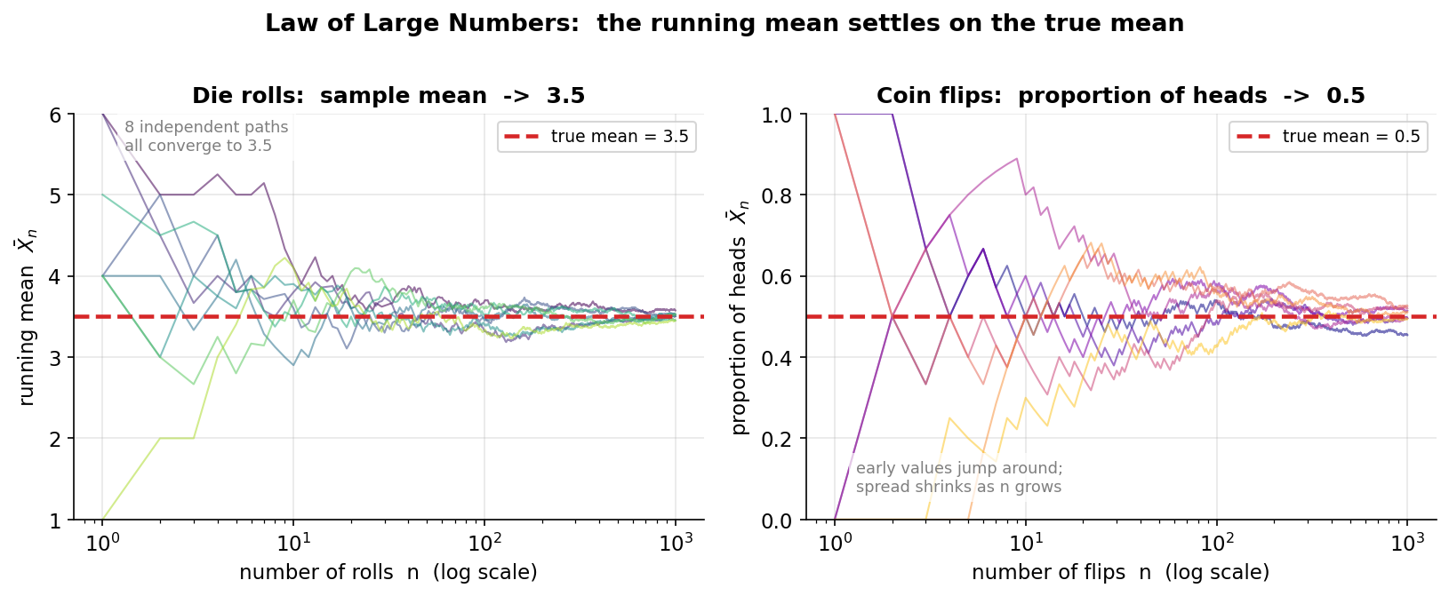 Two-panel figure showing the Law of Large Numbers. Left panel: eight independent running-mean paths from rolling a fair die, each a thin coloured line plotted against the number of rolls n on a log x-axis from 1 to 1000; the paths start widely scattered between 1 and 6 and funnel inward to settle on a red dashed horizontal line marking the true mean 3.5. Right panel: eight running-proportion-of-heads paths from coin flips, scattered near the top and bottom early on and converging onto a red dashed line at 0.5. A grey note on each panel says the early values jump around while the spread shrinks as n grows. Title: the running mean settles on the true mean.