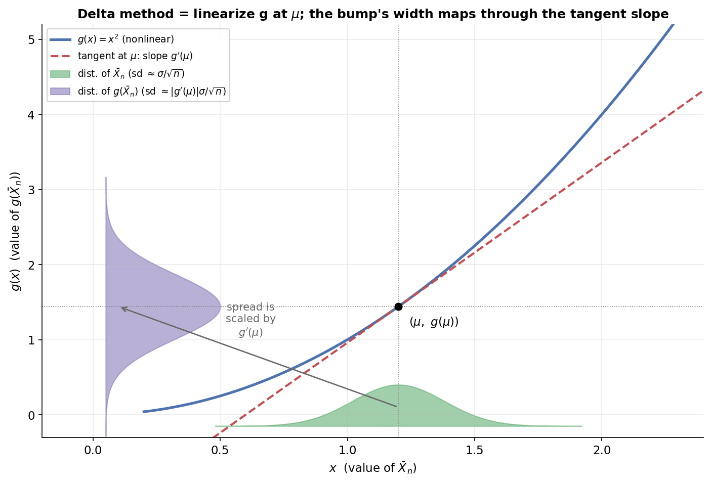 Delta method figure. A blue curve shows a nonlinear function g(x) = x^2; a dashed red line is its tangent at mu = 1.2 with slope g'(mu) = 2.4, touching the curve at the marked point (mu, g(mu)). On the horizontal axis sits a small green Normal bump representing the distribution of Xbar_n with standard deviation about sigma/sqrt(n). On the vertical axis sits a wider purple Normal bump representing the distribution of g(Xbar_n) with standard deviation about |g'(mu)| times sigma/sqrt(n). A grey arrow leads from the green bump up along the tangent to the purple bump, annotated "spread is scaled by g'(mu)". The purple bump is visibly wider than the green one because the slope exceeds 1, illustrating that the Delta method linearizes g at mu and maps the spread through the tangent slope.