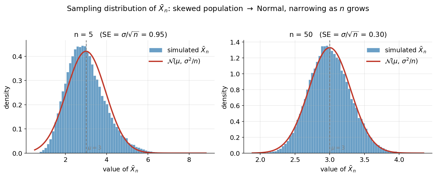 Two-panel figure showing the sampling distribution of the sample mean Xbar_n drawn from a right-skewed Gamma(2, 1.5) population with mu = 3 and sigma about 2.12. Each panel is a blue histogram of 40,000 simulated values of Xbar_n with the theoretical Normal density N(mu, sigma^2/n) drawn as a red curve, and a dashed grey line at mu = 3. Left panel n = 5: the histogram is still slightly right-skewed and wide, with standard error 0.95. Right panel n = 50: the histogram is a nearly symmetric bell, much narrower, with standard error 0.30. Both histograms are centred at mu = 3. The figure shows that the sampling distribution of Xbar_n is centred at mu, becomes Normal, and narrows as n grows.