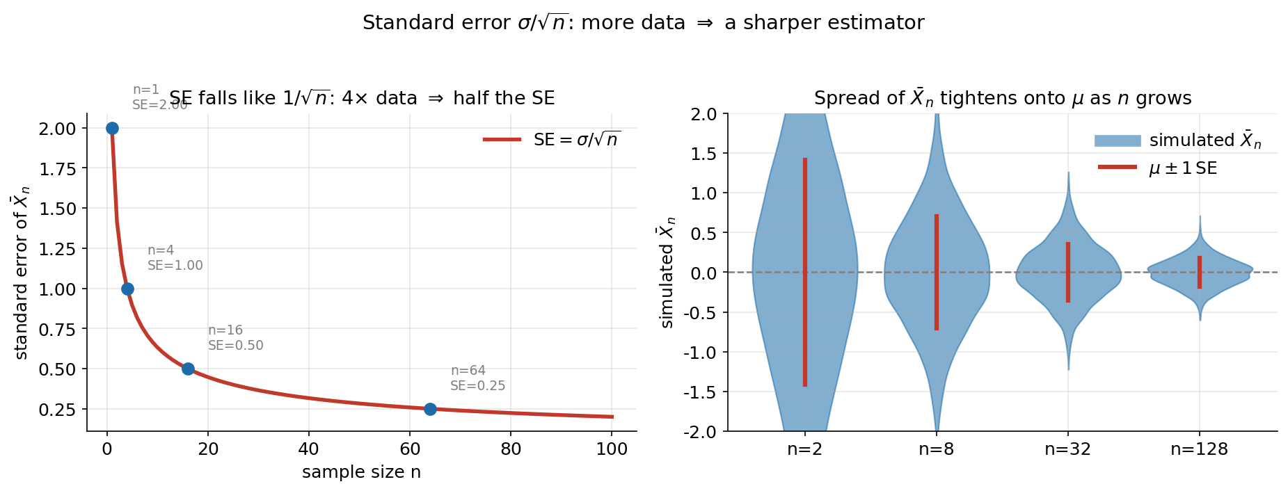 Two-panel figure illustrating that the standard error sigma over root n shrinks as n grows. Left panel: with sigma = 2, the standard error of Xbar_n is plotted as a red curve against sample size n from 1 to 100; it falls steeply then flattens, with marked points at n = 1, 4, 16, 64 showing SE = 2.00, 1.00, 0.50, 0.25, so quadrupling n halves the SE. Right panel: blue violin plots of 3000 simulated values of Xbar_n for n = 2, 8, 32, 128 from a Normal population with mu = 0 and sigma = 2; the violins get narrower and concentrate onto mu = 0 as n grows, with red bars marking mu plus or minus one standard error matching the violin widths, and a dashed grey line at mu. The figure shows that more data gives a sharper estimator, with spread shrinking like 1 over root n.