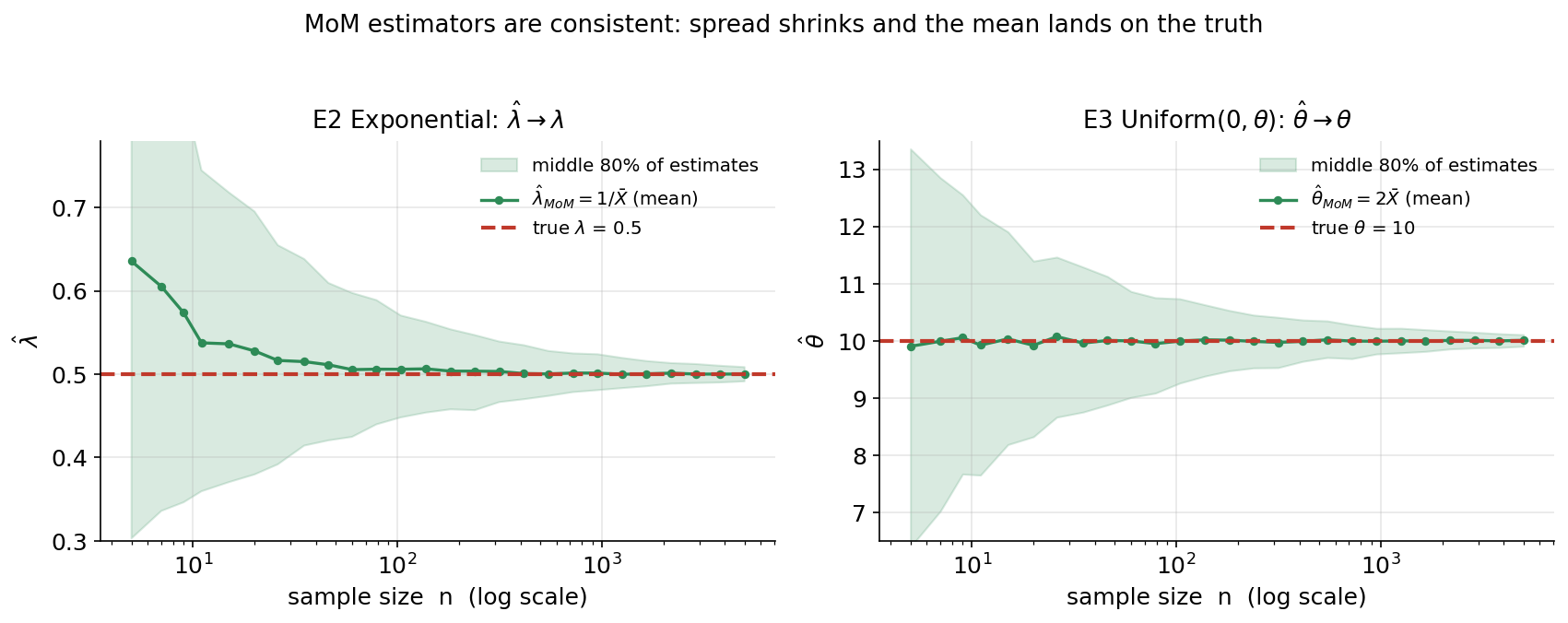 Two-panel line plot showing that method-of-moments estimators are consistent. In both panels the horizontal axis is the sample size n on a logarithmic scale from 5 to 5000, and a red dashed horizontal line marks the true parameter. A green line with markers shows the mean estimate over 400 replications at each n, and a light-green shaded band shows the middle 80% of those estimates. LEFT panel (E2 Exponential): estimator lambda-hat = 1/X-bar, true lambda = 0.5; the green mean starts slightly above 0.5 at small n and the band is wide, then both narrow to land on the red line as n grows. RIGHT panel (E3 Uniform(0, theta)): estimator theta-hat = 2*X-bar, true theta = 10; the green mean sits essentially on 10 at every n while the band funnels inward as n grows. The viewer should notice the wide spread at small n collapsing into a narrow funnel onto the true value, the green mean converging to the truth, and the small finite-sample upward bias of 1/X-bar that disappears with n while 2*X-bar is unbiased throughout.