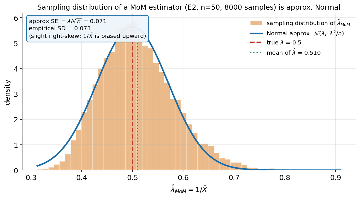 Histogram of a method-of-moments estimator over many samples, overlaid with a Normal approximation. The horizontal axis is lambda-hat_MoM = 1/X-bar from about 0.3 to 0.9; the vertical axis is density. Orange histogram bars show the sampling distribution of lambda-hat computed from 8000 independent Exponential samples of size n = 50 (true lambda = 0.5). A thick blue curve overlays the Normal approximation N(lambda, lambda^2/n). A red dashed vertical line marks the true lambda = 0.5 and a green dotted vertical line marks the mean of the estimates at 0.510. A pale-blue box reports approximate SE = lambda/sqrt(n) = 0.071 versus empirical SD = 0.073, and notes a slight right-skew because 1/X-bar is biased upward. The viewer should notice the bell shape closely matching the blue Normal curve (the estimator is approximately Normal for large n), the near-exact agreement between the theoretical SE and the empirical SD, and the small rightward skew and upward bias that shrink as n grows.