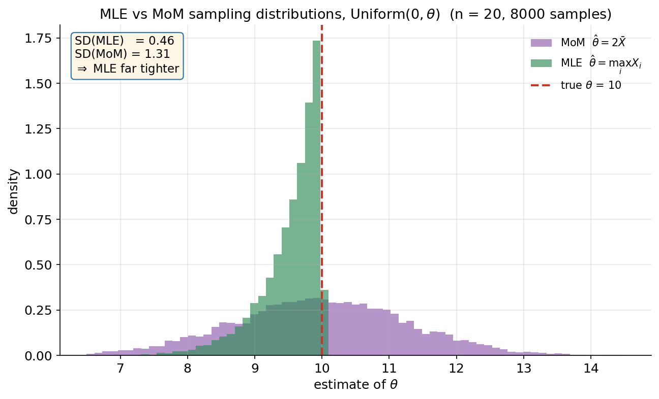 Two overlaid density histograms comparing the sampling distributions of two estimators of theta for Uniform(0, theta), with true theta = 10, sample size n = 20, over 8000 simulated samples. The horizontal axis is the estimate of theta (from about 6.5 to 14.5); the vertical axis is density. A green histogram shows the MLE theta-hat = max_i X_i: it is tall, narrow, and piles up just to the LEFT of the true value, ending abruptly at 10 (since the maximum can never exceed theta). A purple histogram shows the MoM theta-hat = 2*X-bar: it is much wider and roughly symmetric, centered on 10 but with long tails reaching from about 7 to 13. A red dashed vertical line marks the true theta = 10. A cream box in the upper-left reports SD(MLE) = 0.46, SD(MoM) = 1.31, and "=> MLE far tighter". The viewer should notice that the MLE is sharply concentrated just below the truth (slightly biased downward but very low variance), that the MoM is unbiased but far more spread out, and that the MLE's standard deviation is about three times smaller here — a preview of MLE's efficiency advantage that grows with n.