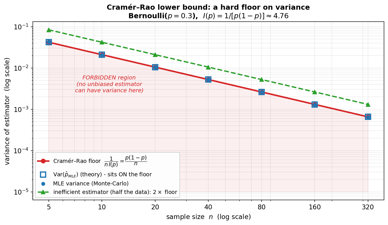 A log-log line plot showing the Cramér–Rao lower bound as a hard floor on estimator variance for the Bernoulli(p=0.3) model, with Fisher information I(p) = 1/[p(1-p)] ≈ 4.76. The horizontal axis is sample size n on a log scale from 5 to 320; the vertical axis is the variance of the estimator on a log scale. A solid red line with circular markers shows the Cramér–Rao floor 1/(n I(p)) = p(1-p)/n, descending as a straight line of slope minus one. Open blue squares show the theoretical variance of the MLE p-hat = X-bar, which lies exactly on the red floor line, and filled blue dots show Monte-Carlo estimates of that variance, also on the line — so the MLE is efficient. A dashed green line with triangular markers shows an inefficient estimator that uses only half the data, whose variance is exactly twice the floor and stays above it at every n. The region below the floor is shaded pale red and labelled "FORBIDDEN region (no unbiased estimator can have variance here)". The viewer should notice that the Cramér–Rao bound Var(theta-hat) ≥ 1/(n I(theta)) is a hard floor that no unbiased estimator can cross, that on log-log axes the floor is a straight line of slope -1 so variance falls like 1/n, that the MLE sits exactly on the floor (this is what "efficient" looks like), and that the inefficient half-data estimator pays for wasting information by needing twice the sample size for the same precision.