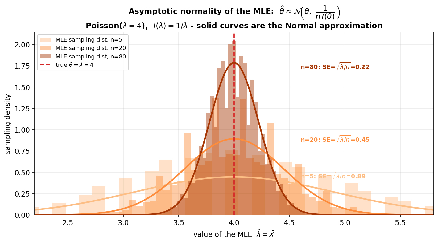 A plot showing the asymptotic normality of the maximum-likelihood estimator for the Poisson(lambda=4) model, where I(lambda) = 1/lambda and the MLE is the sample mean. The horizontal axis is the value of the MLE lambda-hat = X-bar from about 2.2 to 5.8; the vertical axis is sampling density. Three histograms in progressively darker shades of orange show the simulated sampling distribution of the MLE for sample sizes n = 5, 20, and 80, and over each histogram a solid curve of the same colour shows the theoretical Normal approximation N(lambda, lambda/n). A red dashed vertical line marks the true theta = lambda = 4. Annotations report the standard error SE = sqrt(lambda/n) for each: 0.89 at n=5, 0.45 at n=20, 0.22 at n=80. The title states the MLE is approximately Normal with mean theta and variance 1/(n I(theta)). The viewer should notice that the histograms match the solid Normal curves closely even at moderate n and ever better as n grows (this is what "asymptotic" means), that all three curves are centered on the true value 4 (the MLE is asymptotically unbiased) but become taller and narrower as n increases because the variance lambda/n equals the Cramér–Rao floor, and that the standard error halves each time n is quadrupled — so the MLE is asymptotically Normal, unbiased, and efficient all at once.