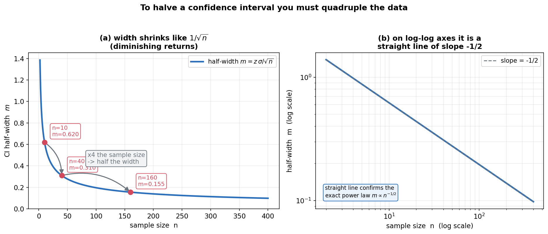 A two-panel figure showing that the confidence-interval half-width m = z * sigma / sqrt(n) is proportional to 1 over the square root of n. The overall title reads "To halve a confidence interval you must quadruple the data". LEFT panel (a), titled "width shrinks like 1/sqrt(n) (diminishing returns)", plots the CI half-width m against sample size n as a thick blue curve that falls steeply at first and then flattens out; three red dots mark n = 10 (m = 0.620), n = 40 (m = 0.310), and n = 160 (m = 0.155), with curved grey arrows connecting them and an annotation "x4 the sample size -> half the width". RIGHT panel (b), titled "on log-log axes it is a straight line of slope -1/2", plots the same half-width against n on logarithmic axes, giving a straight blue line that matches a dashed reference line of slope minus one half, with an annotation that the straight line confirms the exact power law m proportional to n to the minus one half. The viewer should notice that the width drops fast for small n but then yields diminishing returns, that halving the interval requires quadrupling the sample size because m depends on 1 over root n, and that the log-log straight line of slope -1/2 is the signature of this power law.
