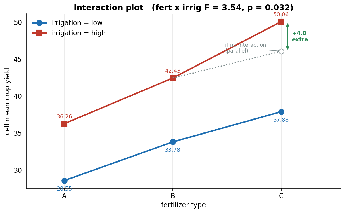Interaction plot of cell mean crop yield for a two-factor design. The horizontal axis is fertilizer type with categories A, B and C; the vertical axis is cell mean crop yield from about 28 to 50. A blue line with circle markers shows irrigation equals low, passing through points 28.55, 33.78 and 37.88; a red line with square markers shows irrigation equals high, passing through 36.26, 42.43 and 50.06. The red high line lies entirely above the blue low line, and both lines rise from A to C, indicating strong main effects of irrigation and fertilizer. The two lines are nearly but not exactly parallel: the gap between them is similar from A to B but widens from B to C because the red line steepens. A grey dotted reference line and a hollow circle show where the high line would reach at C if there were no interaction (perfectly parallel), and a green double-headed arrow marks the extra plus 4.0 lift from that reference up to the actual C-high point. The title reports the fertilizer-by-irrigation interaction F equals 3.54 with p equals 0.032. The viewer should notice the slight non-parallelism signalling a mild but significant interaction, that the combination of best fertilizer and high irrigation yields about 4 units more than the additive prediction, and that parallel lines would have meant no interaction.