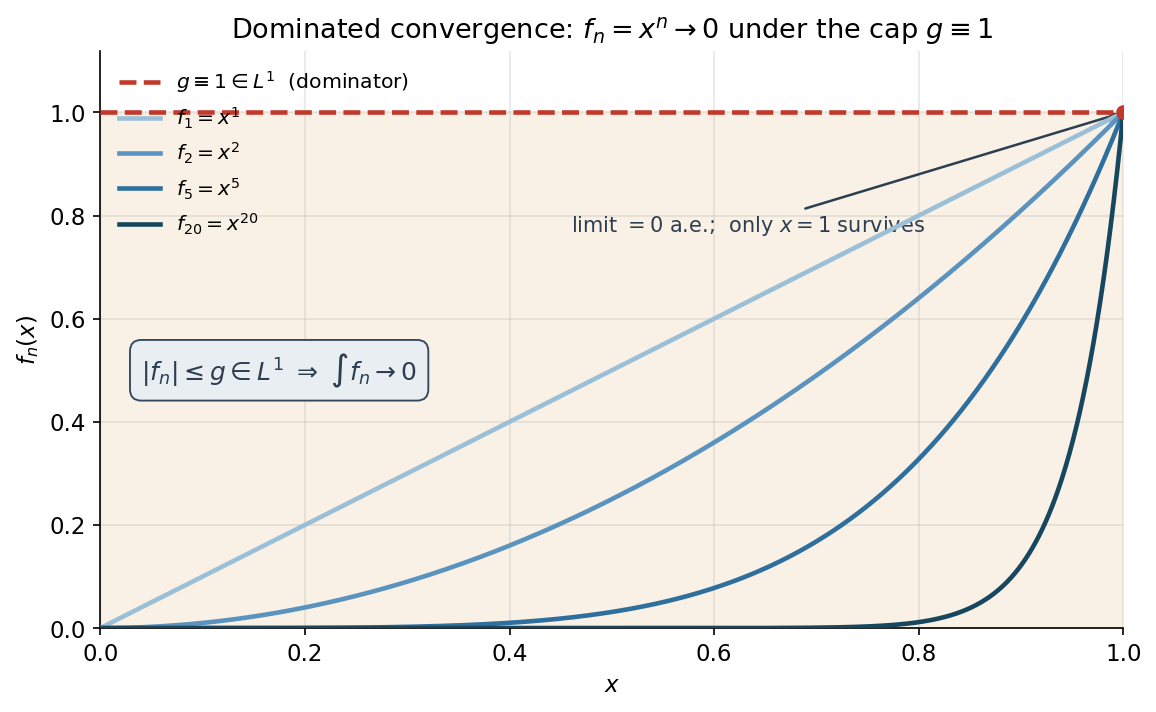 DCT: f_n = x^n ছাদ g ≡ 1-এর নিচে 0-তে চুপসায়; |f_n| ≤ g ∈ L^1 ⇒ int f_n → 0
