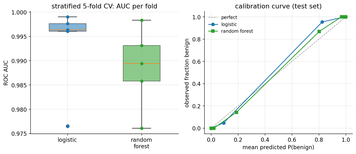 stratified \(5\)-fold cross-validation-এর AUC-এর box+strip plot — logistic-এর পাঁচ fold আঁটোসাঁটোভাবে \(0.993\)-এর কাছে ও random forest \(0.989\)-এর কাছে, দুটোই খুব উঁচু ও স্থিতিশীল; এবং পাশে calibration curve, যেখানে দুই model-এর বিন্দুই নিখুঁত-calibration-এর তির্যক রেখার প্রায় গায়ে (well-calibrated)।
