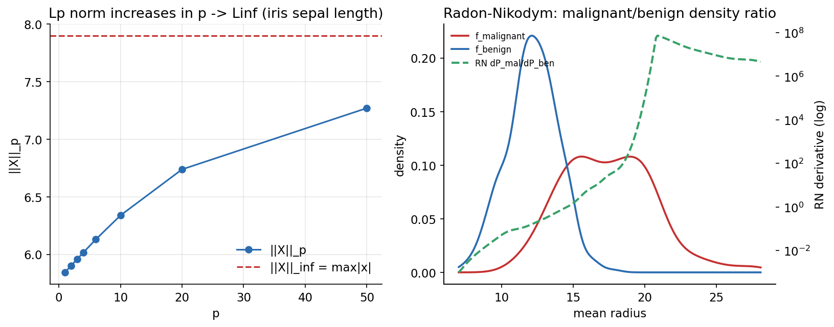 Lp norm and Radon-Nikodym density ratio