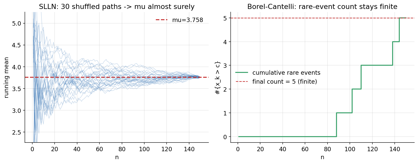 SLLN paths and a Borel-Cantelli rare-event count
